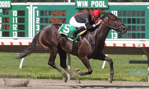 Appealing Maggie cruises in Miss Woodford