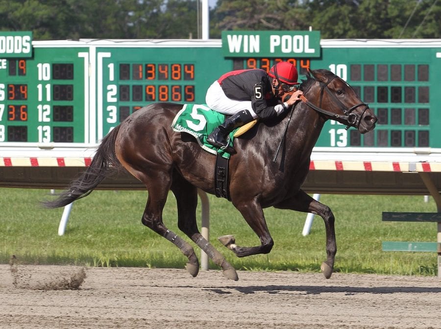 07-17-16 09 AppealingMaggie_001 Appealing Maggie