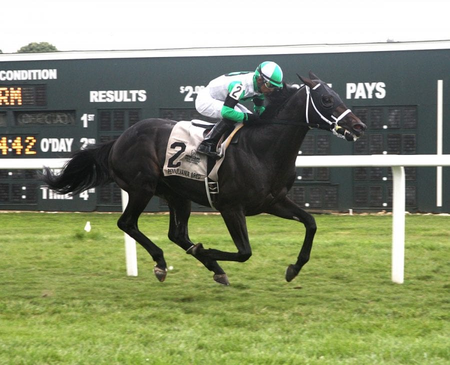 07-23-16 P 09 Saratoga Jack FIN 01 Saratoga Jack