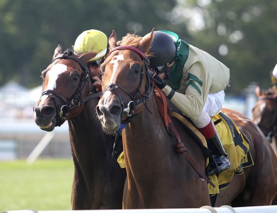 07-24-16 08 TinTypeGal_BoilingSprings_02 Tin Type Gal