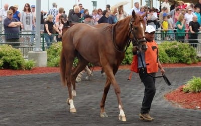 Delacour duo looks for Christiana laurels