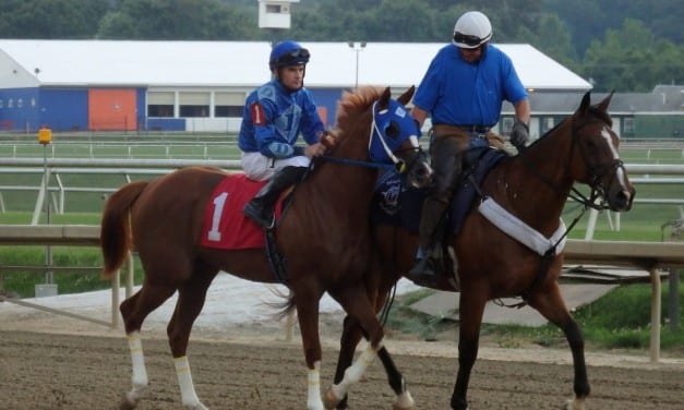 Inspired Flight hopes to take wing at Spa