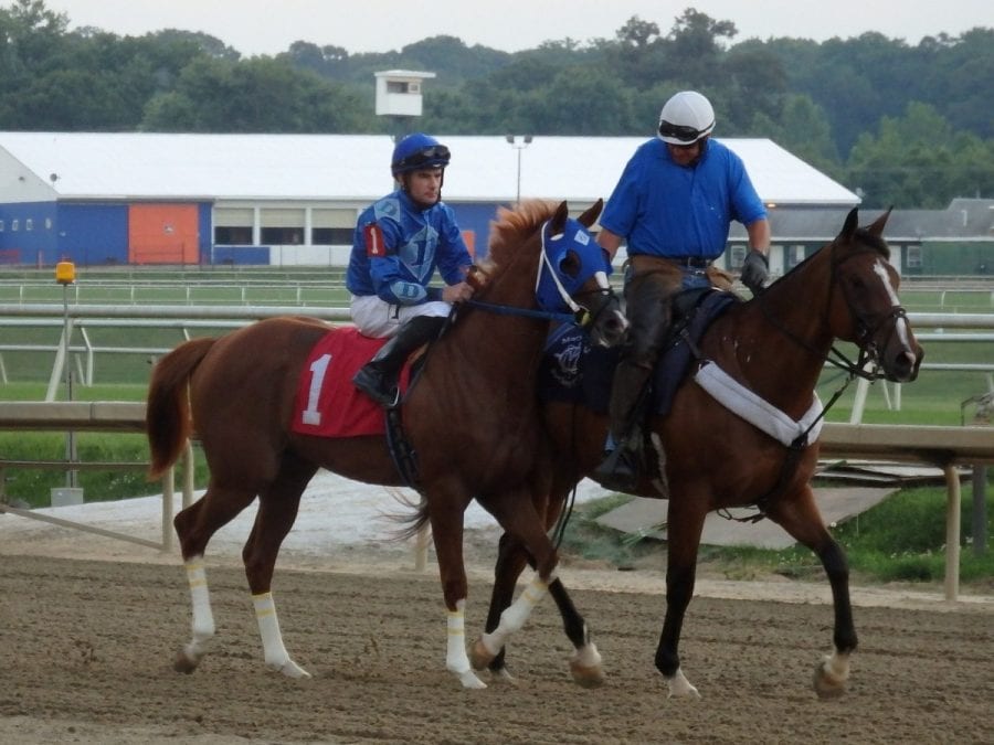 27746018780_88f2f5276b_k Inspired Flight