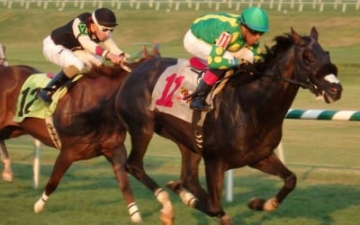 July 29 racing highlights: Just Jack making a name for himself