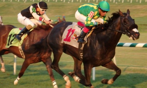 August 26 racing: Maiden races highlight Big T kickoff