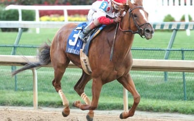 Patiently handled Paid Up Subscriber ready to jump up in Del ‘Cap