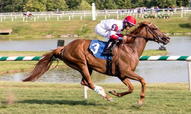 Records fall on Laurel Park turf course