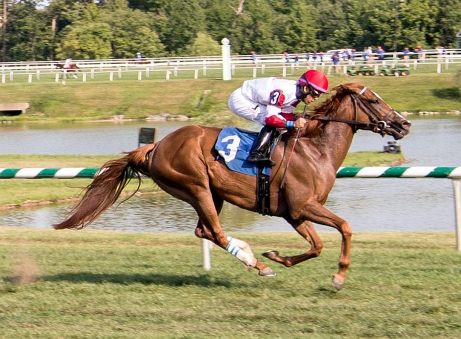 Coastal Sea Coastal Sea