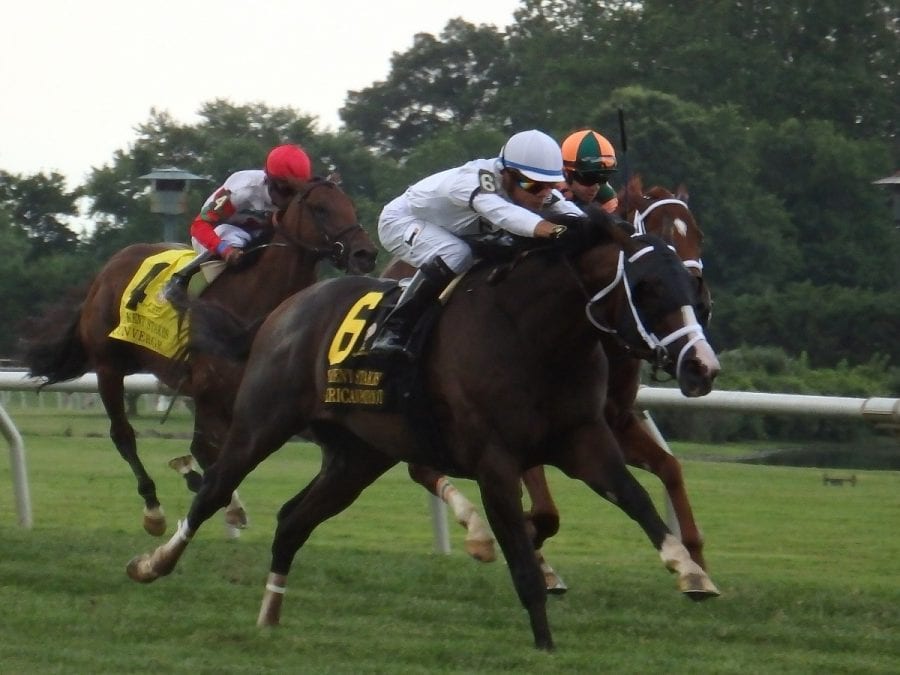 americanpatriotdrive American Patriot