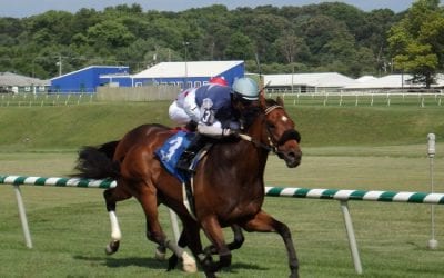 After long suspension, Ness barn “starting to come around”