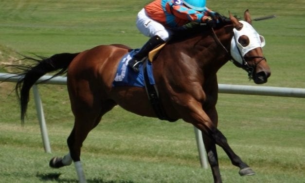 Pool Winner storms to My Frenchman win