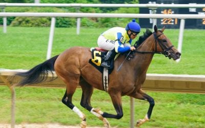 Gorham, You Know Too hoping for “one for the home team” in Oaks