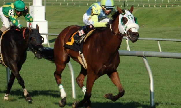 Unlucky seven: Ben’s Cat upset in Mister Diz