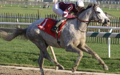 Aldrin, kin to Tapit, to stand at O’Sullivan