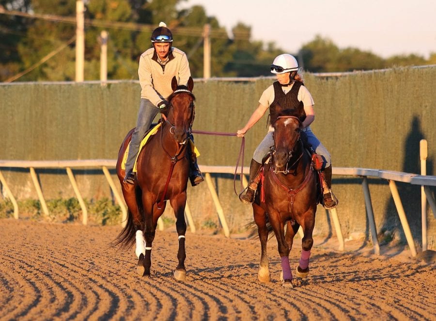 09-22-16-mw-nyquist-01 Nyquist