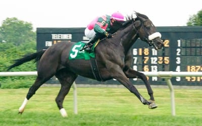 Old Harbor sets Del Park turf record