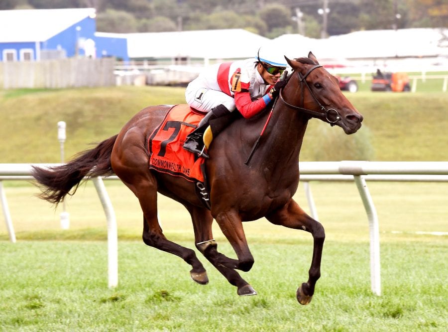 my-impression-022 My Impression