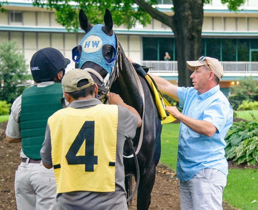 Harry Wyner at Delaware Park on 8/10/16 Harry Wyner