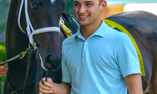 For Andre Stock, a PhD in horsemanship