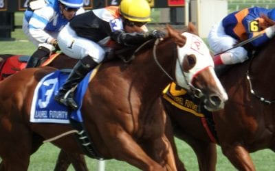 Santa Anita situation underlines need for crisis response protocols