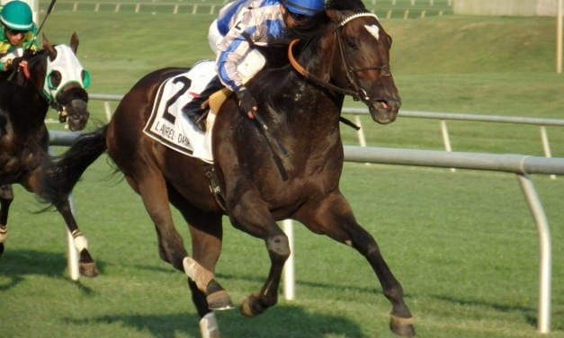 Heir Port is first winner for sire Mosler