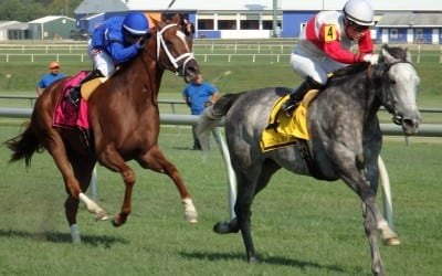 Five things we learned last weekend