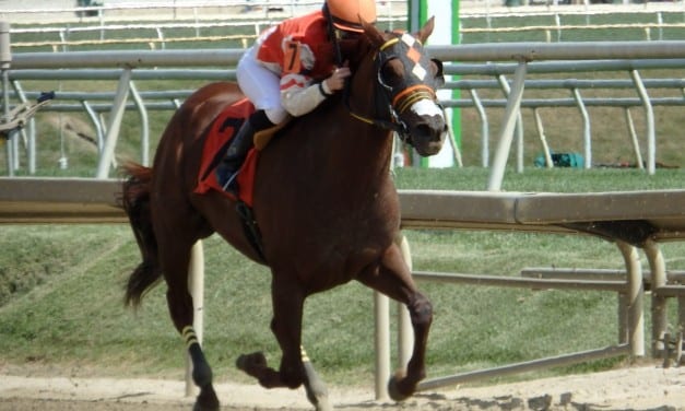 Blog: First pro mount for Anna Carrow