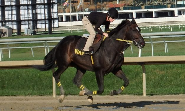 At 11, No Brakes isn’t slowing down