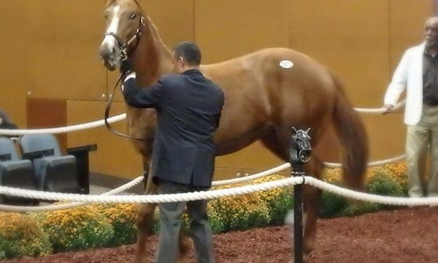 Region-breds drive Fasig-Tipton yearling results