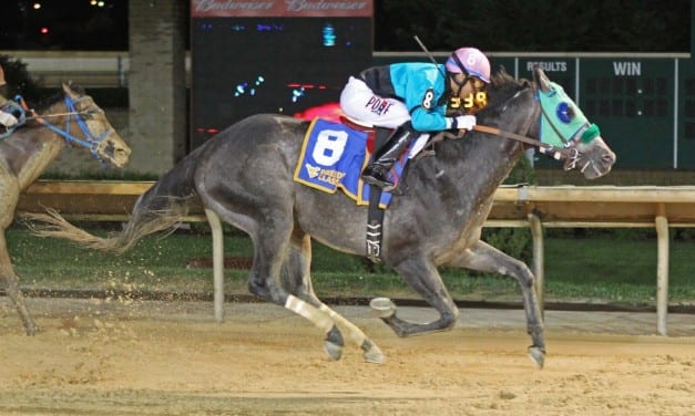 2016 in review: Winning!