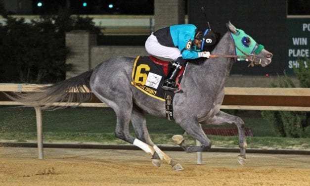 Weekend wrap: March 13