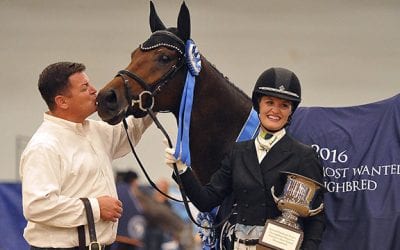 Thousands attend Thoroughbred Makeover