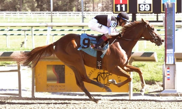 Riley’s Choice impresses in maiden score