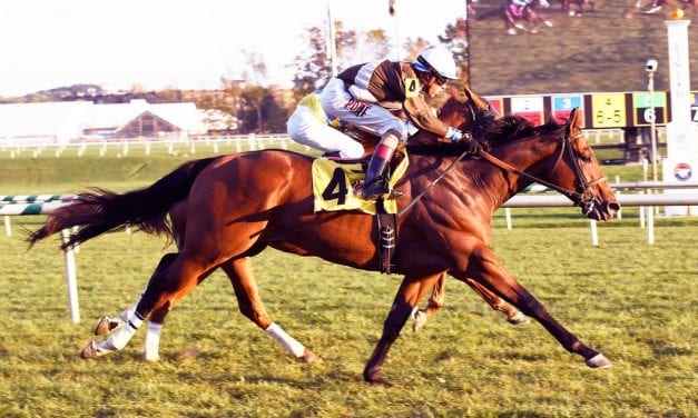 Top of Mind takes Laurel feature