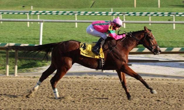 Dickie Small Stakes draws full starting gate