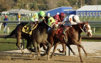 Jackpot Pick 6 carries into Laurel closing day