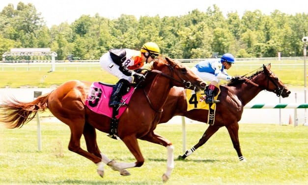 Greatbullsoffire, In Arrears square off in Nursery