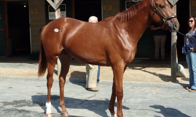 Fasig-Tipton yearling sale shows solid gains