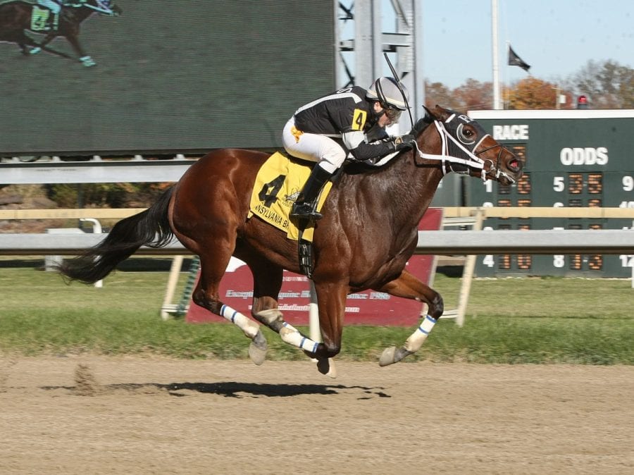 11-08-16-p-03-true-sweetheart-fin True Sweetheart