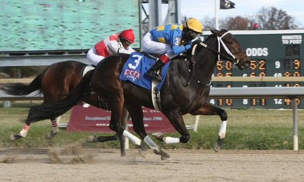 Five spot for Trevor McCarthy