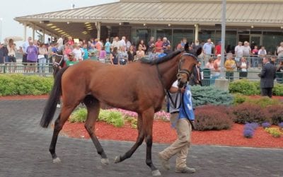 Mandatory payouts spice up Penn National holiday program