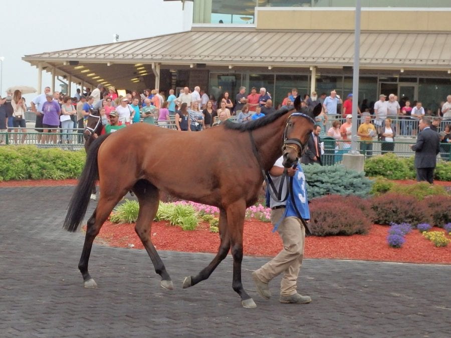 26854534694_5d267ba874_k Outsider Art