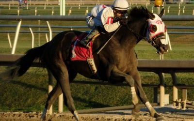 Claiming Crown preview builds (some) excitement