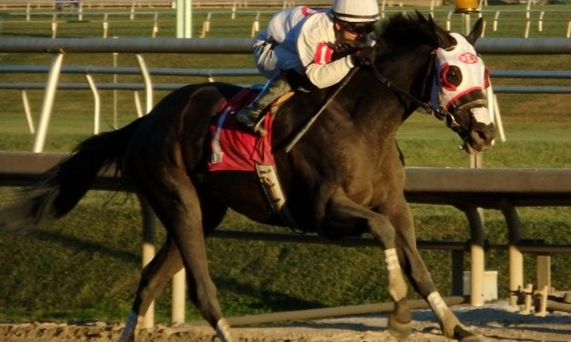 Claiming Crown preview builds (some) excitement