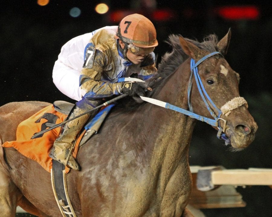 charitable-annuity-a-huevo-stakes-11-05-16-r07-ct-002 Charitable Annuity