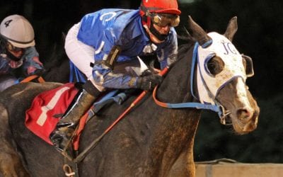 I Need You, Rockin Jojo take restricted stakes