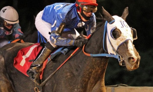 I Need You, Rockin Jojo take restricted stakes