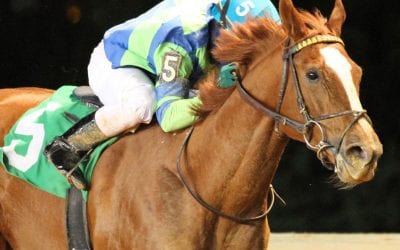 Red Hot Diva wins My Sister Pearl for third time