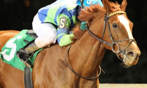 Red Hot Diva wins My Sister Pearl for third time