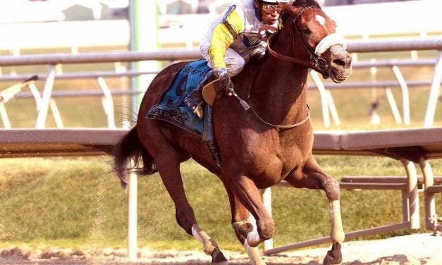 Happy homecoming for Barclay Tagg in Safely Kept